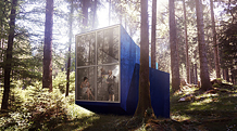 Beetle House